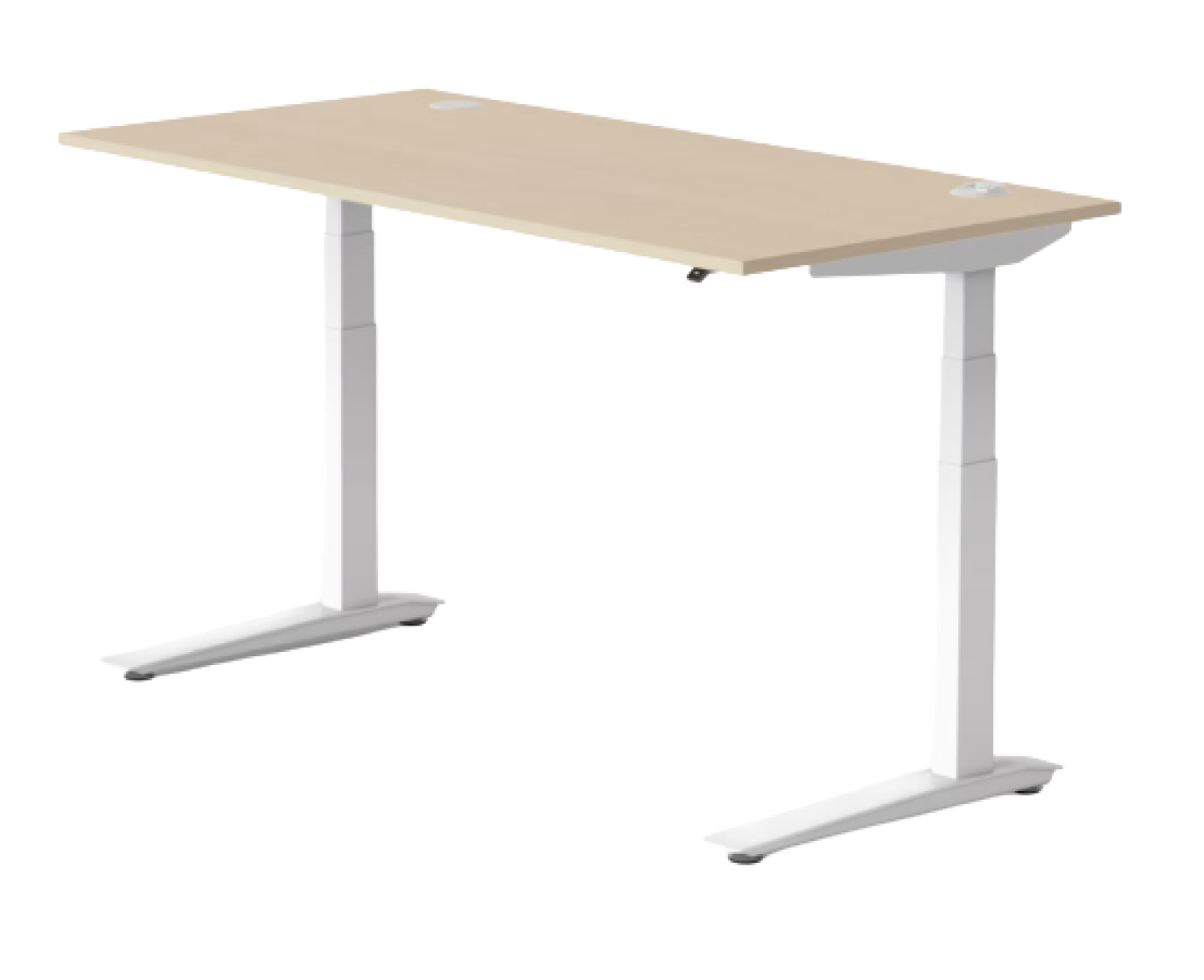 Jarvis Electric Standing Desk with Oak or Maple wood top. 